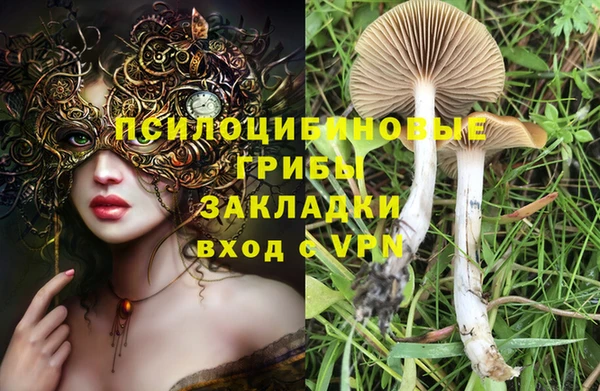 трава Абдулино