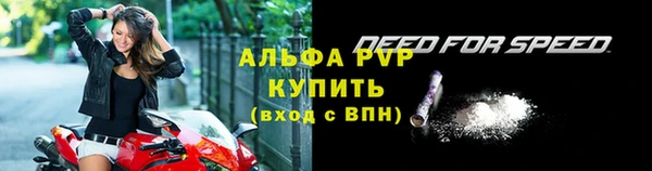 apvp Алексин