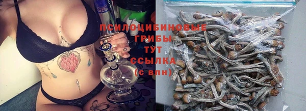 трава Абдулино